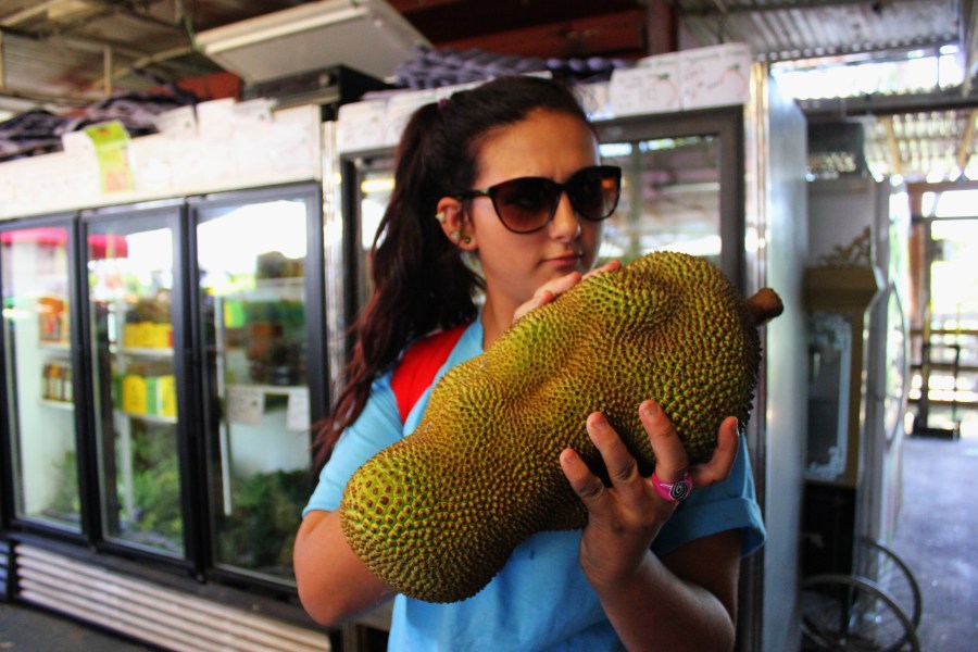 jackfruit