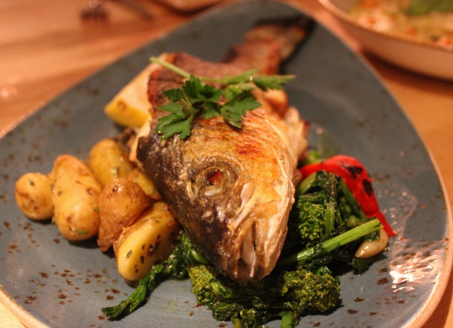 cibo wine bar fort lauderdale