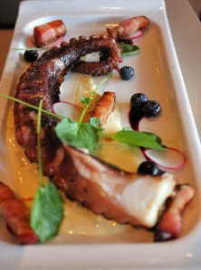 Wild Sea Las Olas Ft. Lauderdale Florida