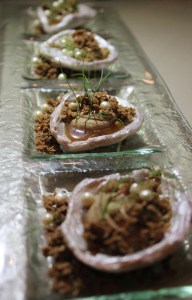 Wild Sea Las Olas Ft. Lauderdale Florida