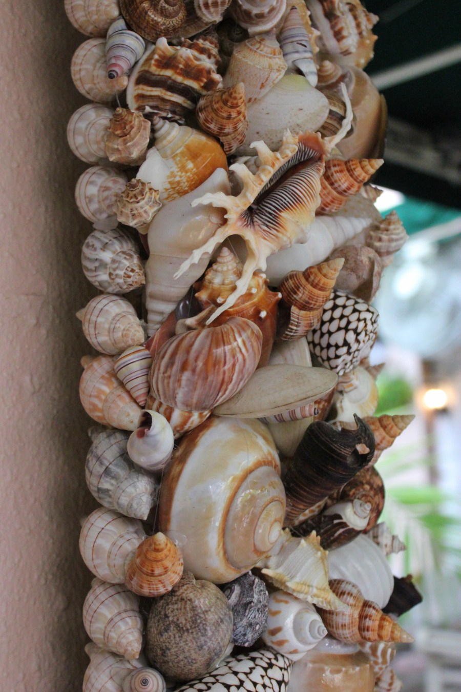 Taste History Culinary Tour of Historic West Palm Beach