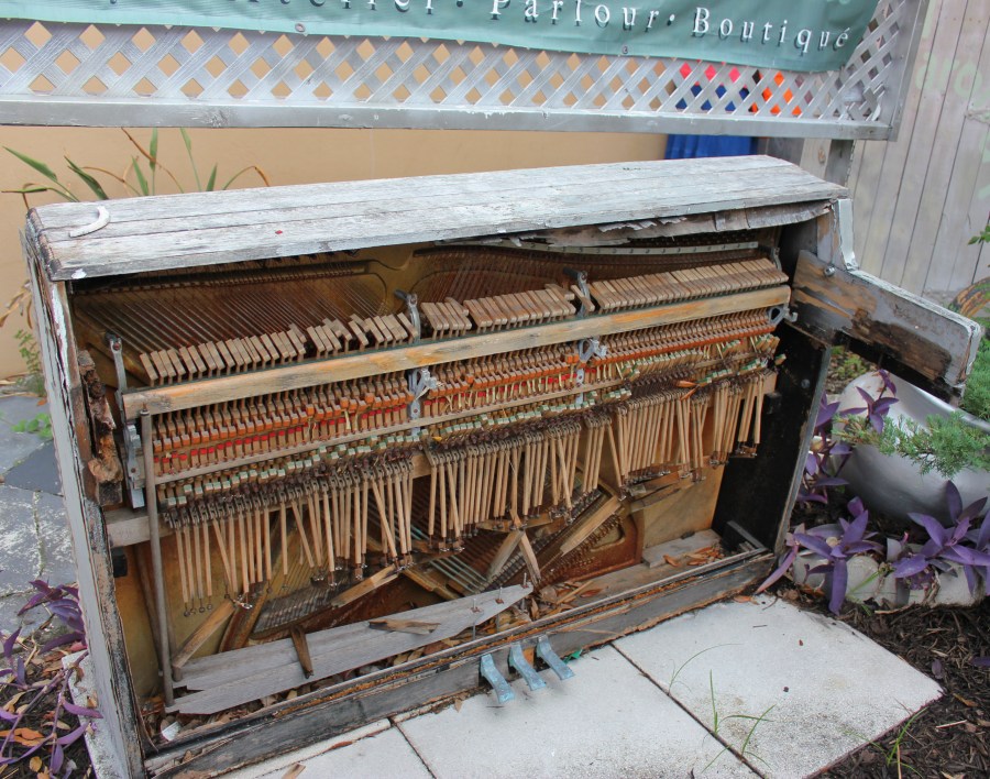 Taste History Culinary Tour Palm Beach Florida