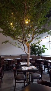 MidiCi The Neapolitan Pizza Company fort lauderdale