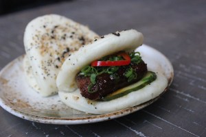 monkitail diplomat resort hollywood fl