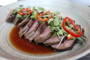 monkitail diplomat resort hollywood fl