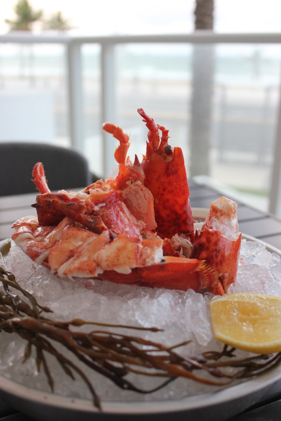 lobster fort lauderdale beach