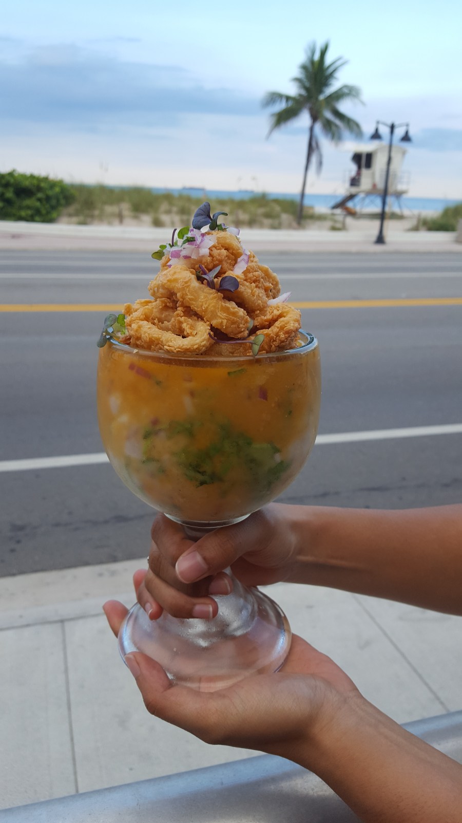 La Copa fried calamari and ceviche